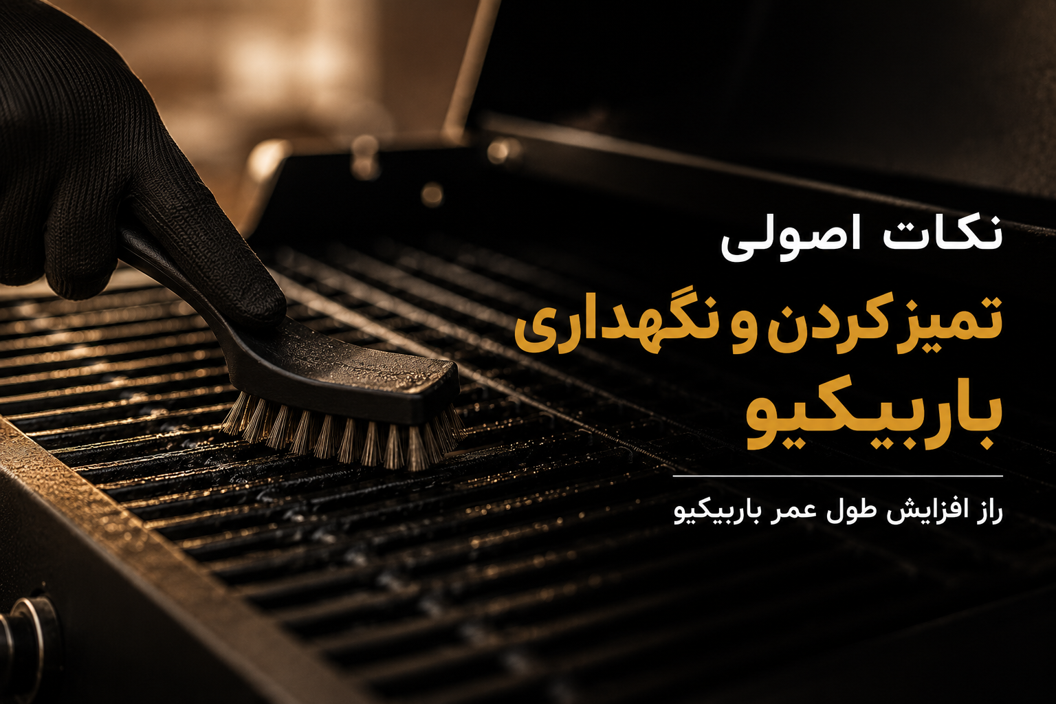 تمیز کردن باربیکیو به روش اصولی | رازهایی که عمر باربیکیو را چند برابر می‌کنند